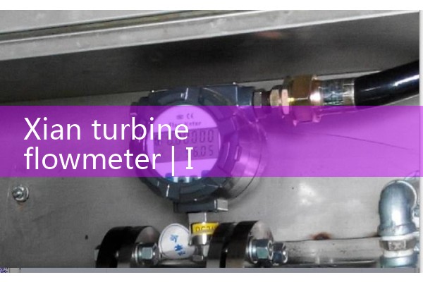 Xian turbine flowmeter